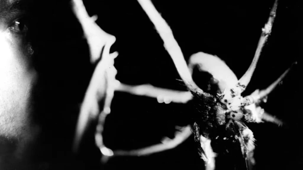 Jean Painlevé - Araignée et Profil - 1930 - Procédé gélatino-argentique - Archives Jean Painlevé DR