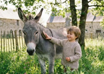Enfant caressant un âne lors d'une balade nature à Lanvellec dans le Trégor.