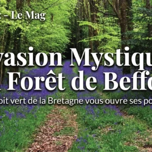 Évasion Mystique en Forêt de Beffou