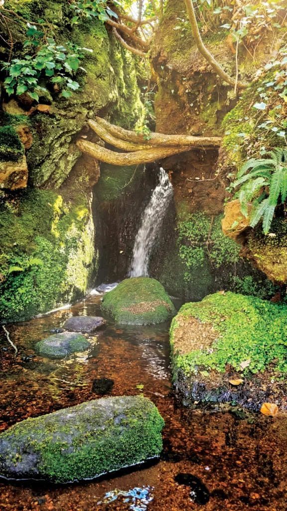 Sentier de randonnée dans une forêt dense, gros rochers de granit recouverts de mousse verte, ambiance féerique et mystérieuse en Bretagne.