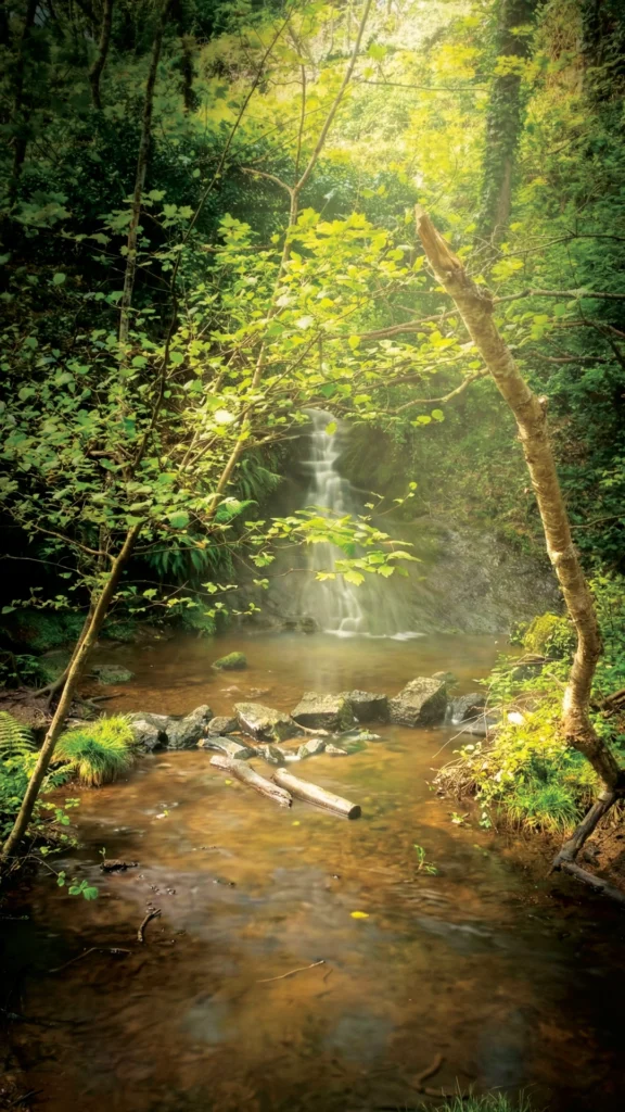 Sentier de randonnée dans une forêt dense, gros rochers de granit recouverts de mousse verte, ambiance féerique et mystérieuse en Bretagne.