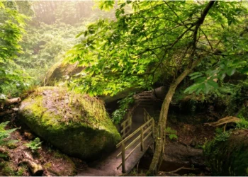 Sentier de randonnée dans une forêt dense, gros rochers de granit recouverts de mousse verte, ambiance féerique et mystérieuse en Bretagne.