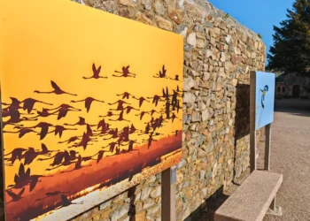 Exposition du photographe Jean-Michel Lecat au Parvis de l'église St Jacques de Perros Guirec : Sénégal : une biodiversité insoupçonnée.