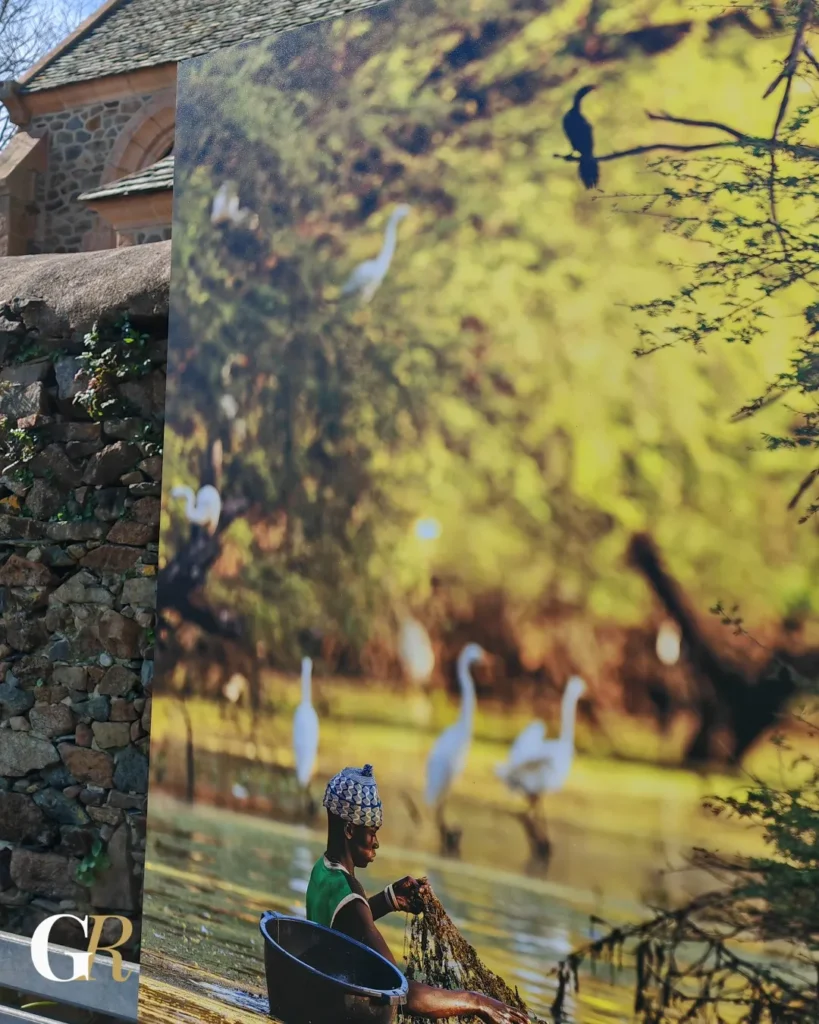 Exposition du photographe Jean-Michel Lecat au Parvis de l'église St Jacques de Perros Guirec : Sénégal : une biodiversité insoupçonnée.