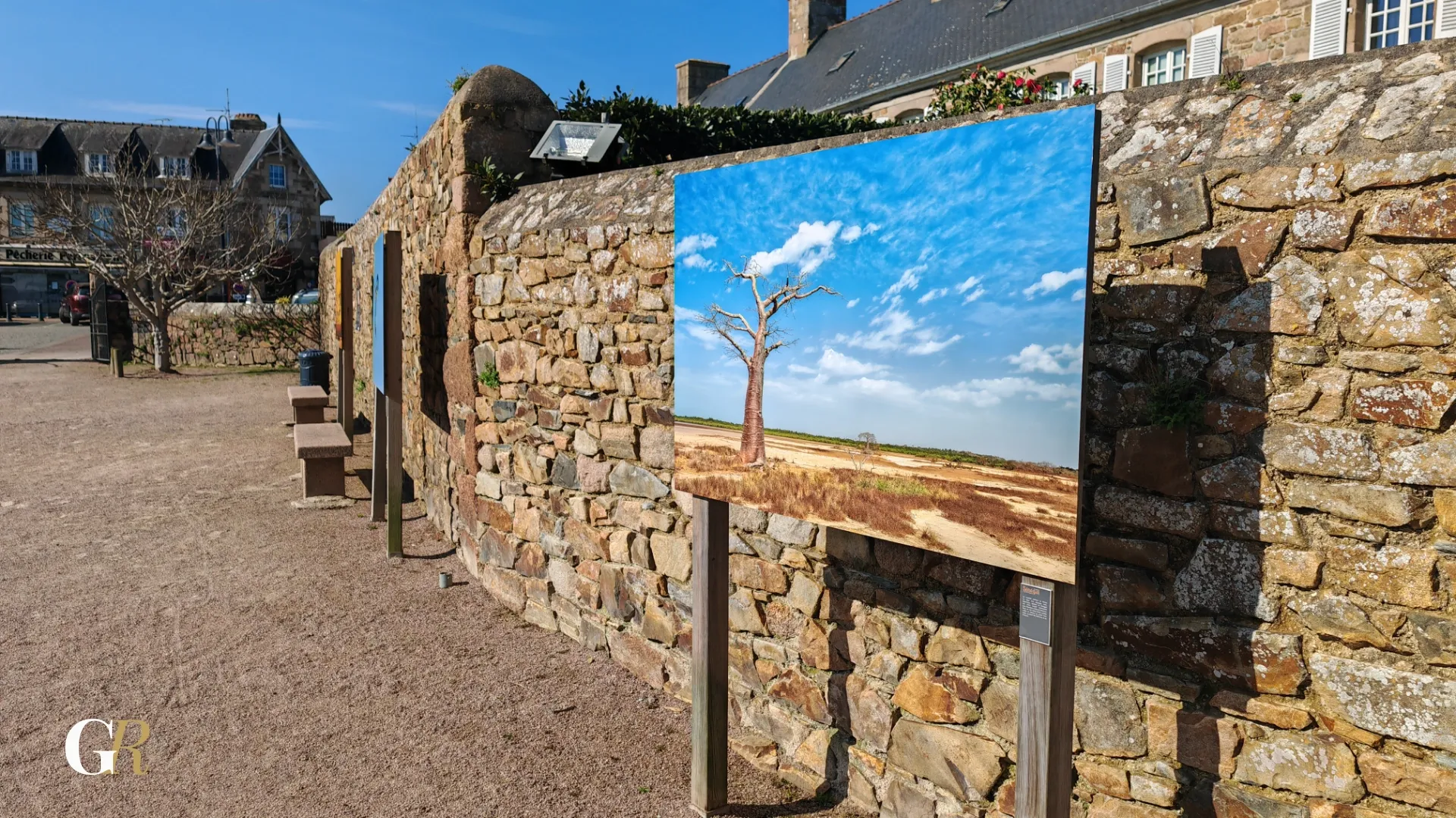 Oiseau coloré Sénégal 2