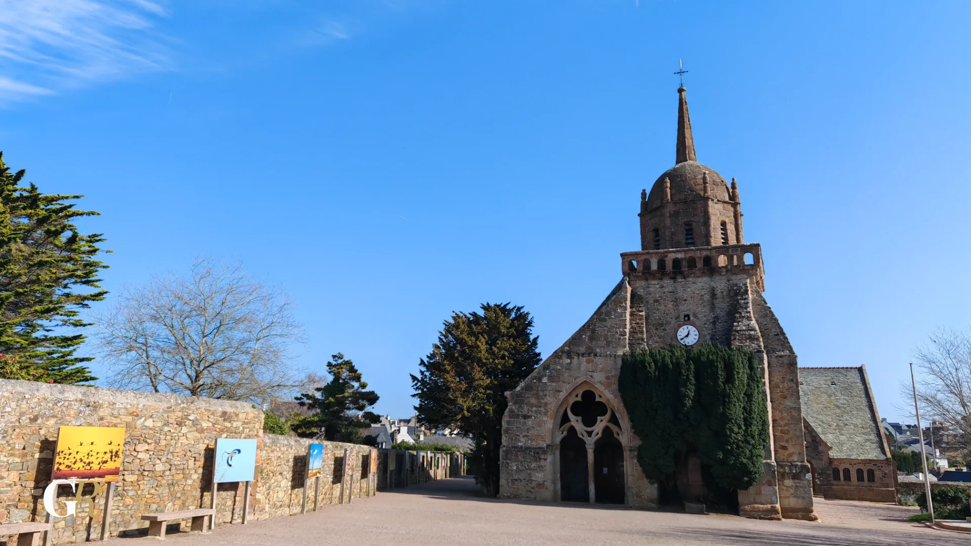 Oiseau coloré Sénégal 6