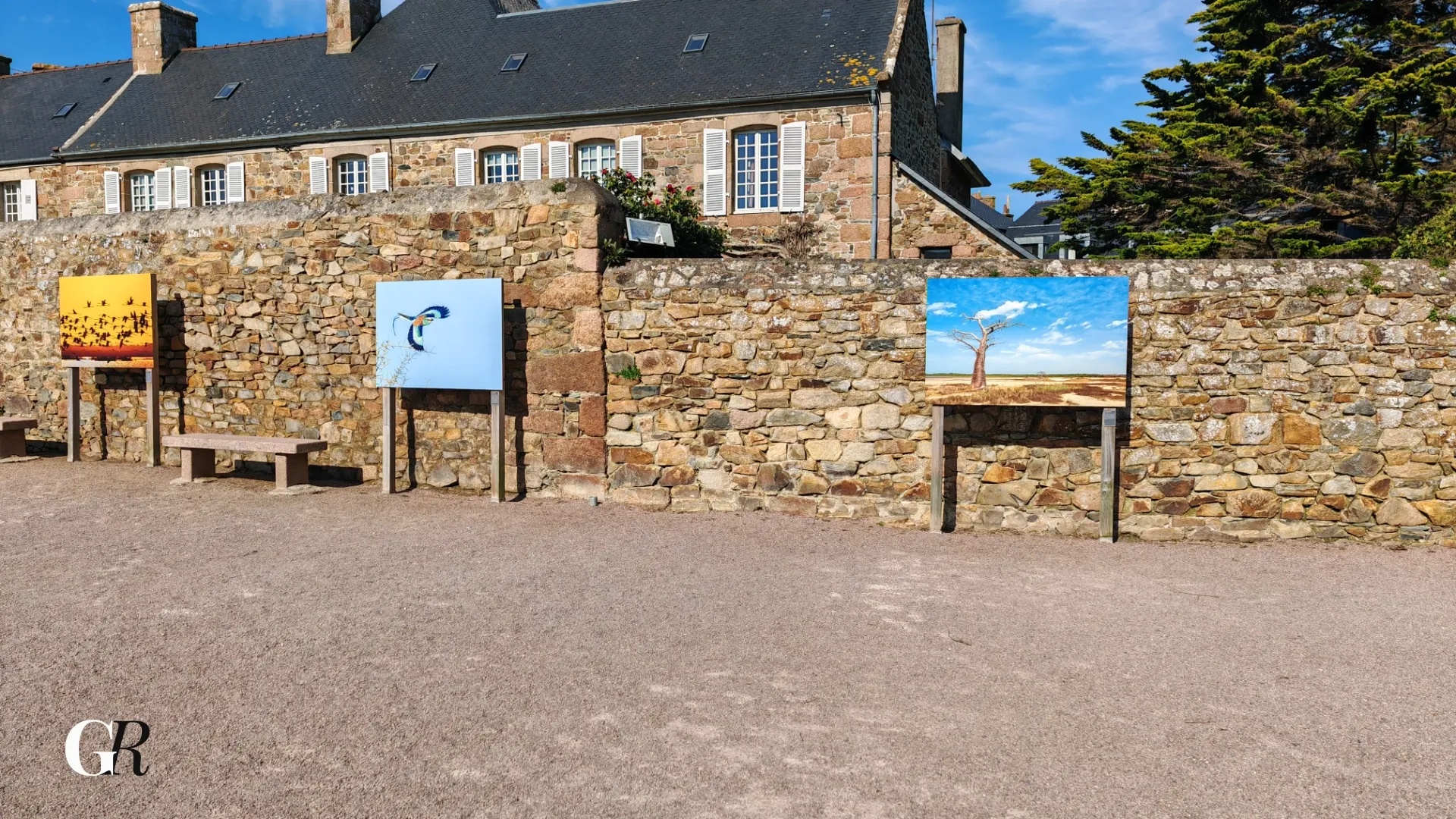 Oiseau coloré Sénégal 7