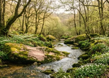 Douce lumière printanière éclairant les rochers de granit rose et l'eau cristalline de la rivière du Léguer dans le Trégor, entourée d'une forêt aux feuilles vert tendre.